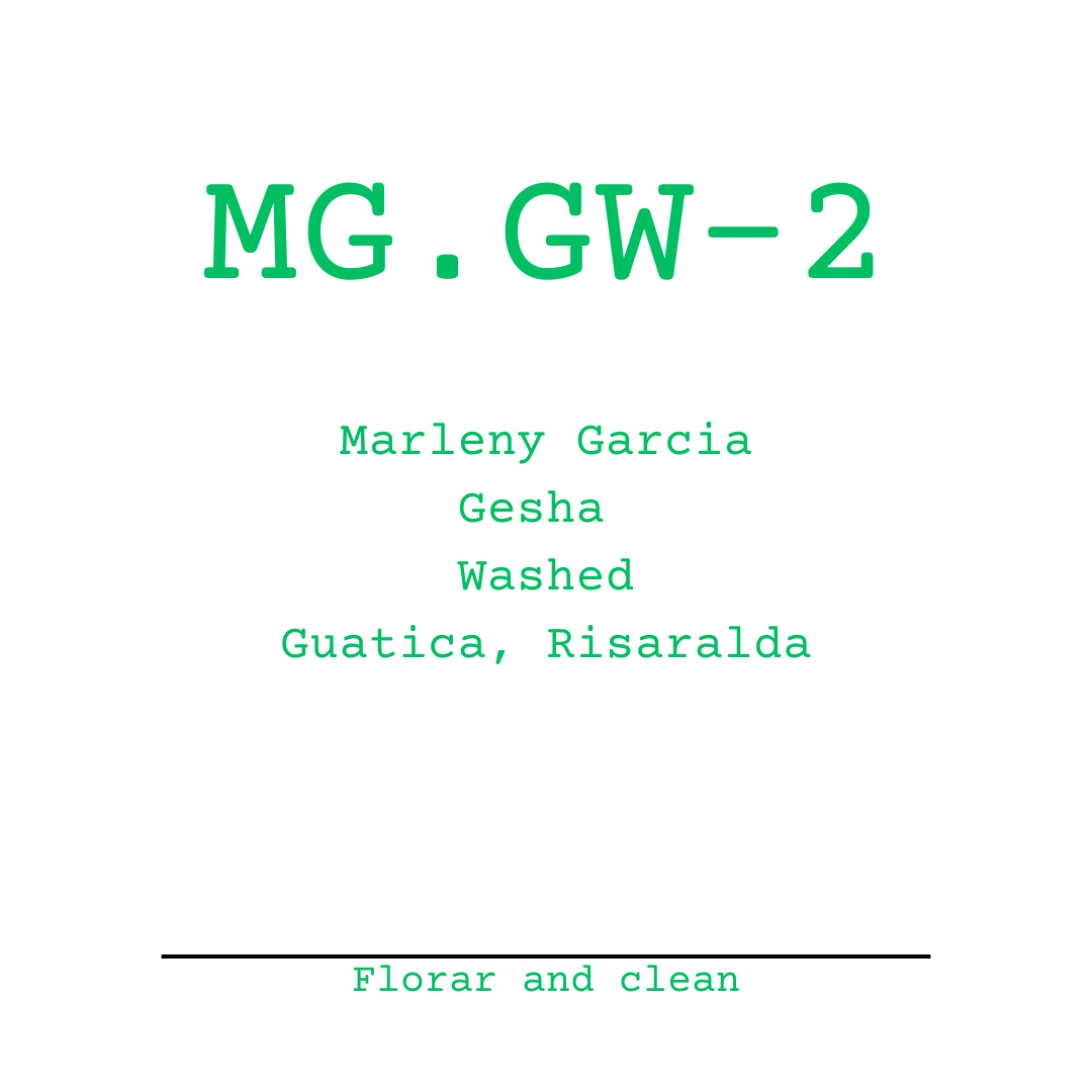 Gesha Merlany Garcia